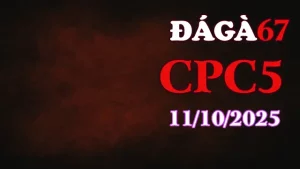 Clip gà chọi trực tiếp C5 full HD ngày 11/10/2025