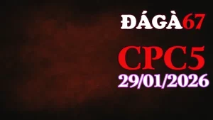 Trực Tiếp Đá Gà CPC5 Hôm Nay 29012026 Chuẩn HD