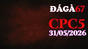 Video đá gà CPC5 hôm nay 31052026 tại Thomo